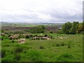 Creggan Lough