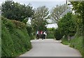 Horse Riding on a Country Lane