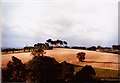 King Alfreds Castle  a View from Leafield Towers