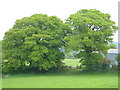 Scene at Haddons Farm, West Hatch