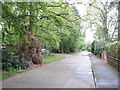 Priory Close and rhododendrons, Sheerwater