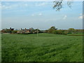 Cottages near Marbury