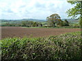 View across the Axe Valley