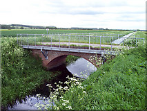 SE9914 : Bonby Carr Lane Bridge by David Wright