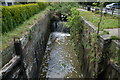 Lock no. 12 at Terryhoogan, Scarva, disused Newry Canal