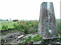 Cwm Giedd trig point