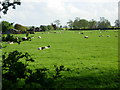 Farmland north west of Husbands Bosworth