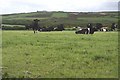 Pasture and Heathland across the Valley