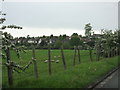 Looking across the fields to the Houses