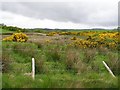 Crockrour Townland