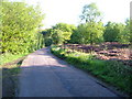 Lane on Gittisham Hill