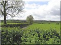 Tonnagh-Beg Townland