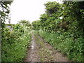 Bridleway to Greenberry Downs