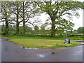 Lane junction near Bethersden