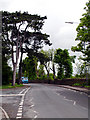 Looking along Rodway Hill Road