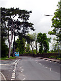 ST6675 : Looking along Rodway Hill Road by Linda Bailey
