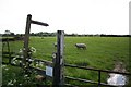 Brough Lane footpath