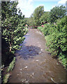 River Douglas at Appley Bridge