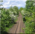 Ivanhoe Line to Ashby de la Zouch