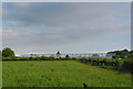 Glasshouses at Pinetops Nurseries, Upper Pennington, Lymington