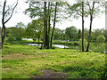 Watercress Farm Trout Fishery