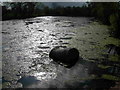 NT9162 : Stagnant Pond by John Whelan
