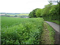 Bovingdon: Bourne End Lane