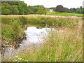 Flighting Pond at Glenlair Home Farm