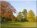 Autumn Trees at Glenlair