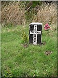 NT3446 : The Piper's grave, Dewar Gill by Chris Eilbeck