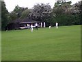 Cricket near the pub