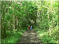 SE2148 : Path by Lindley Wood Reservoir by Rich Tea