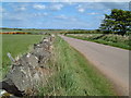 Dry Stane Dyke & Road near Mill of Barras