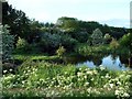 The Nottingham Canal