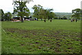 Grange Hill Farm, near Naunton