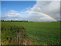 Rainbow over East Lothian