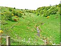 Small valley near Millplough