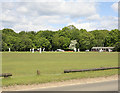 Cricket Ground, Burley