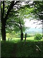 View from Derwent View Church