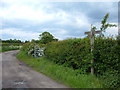 Carter Lane, Chelford