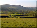 East Webburn valley from near Stone Cross