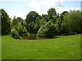 Pond on the Nun Brook, Clifton