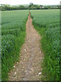 SU1625 : Avon Valley Path towards Charlton by Jim Champion