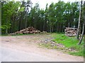 Woodpiles at Bardspark