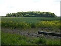 Monks Kirby - Brockhurst Lane