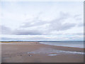 Beach at St. Andrews