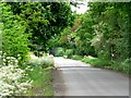 Road to Seaton Common