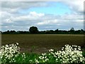 Farmland at Silverstone House