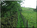 The path to Marsden Heights TP