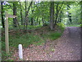 Footpath on the Mottisfont Estate